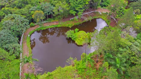 Aerial-top-down-of-brown-nature-lake-surrounded-by-green-jungle-forest-in-tropical-Caribbean-Island