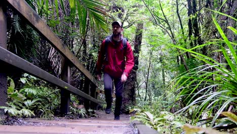 Man-outdoors-wearing-outdoor-hiking-gear,-backpack,-waterproof-coat,-walking-up-steps-in-a-forest-on-Bridal-Veil-Falls-track-in-New-Zealand,-Aotearoa