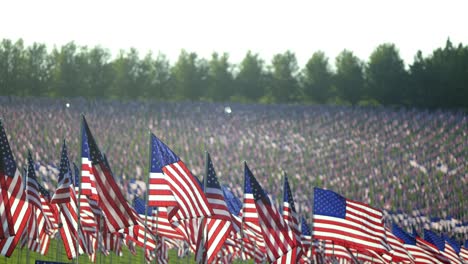 Cientos-De-Banderas-Ondeantes-De-Los-Estados-Unidos-Llenan-Un-Campo-Grande-En-El-Día-De-Los-Caídos