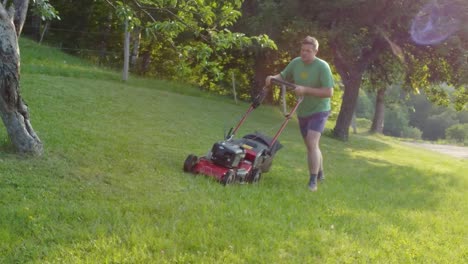 Man-mowing-lawn-between-fruit-trees-with-red-petrol-rotary-lawnmower-machine