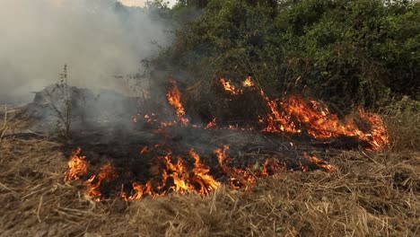 Flammen-Verbrennen-Das-Brasilianische-Pantanal,-Während-Bauern-Feuer-Zur-Entwaldung-Verwenden