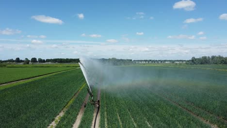 Irrigation-Sprinkler-or-sector-sprinkler-turns-to-the-left-and-irrigates-the-crops