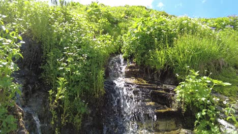 Nähern-Sie-Sich-Einem-Kleinen-Wasserfall,-Der-Von-Hohen-Gräsern-Und-Pflanzen-Umgeben-Ist