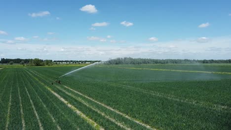 Fly-sideways-past-an-irrigation-sprinkler-or-sector-sprinkler-spraying-the-crops