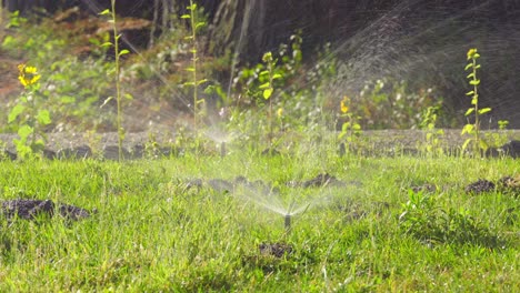 Close-Up-of-Automatic-Sprinkler-System-in-Operation