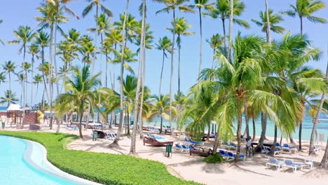 Hoch-Aufragende-Palmen-An-Der-Playa-Real-Von-Marbella-4-sterne-hotel-In-Juan-Dolio,-Dominikanische-Republik