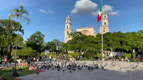 Nachmittagsblick-Auf-Die-Plaza-Mayor-De-Mérida-Mit-Fliegenden-Tauben