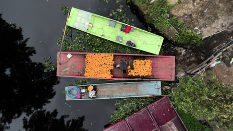 Drone-shot-of-peasant-arrange-the-flowers-in-the-boat-in-Xochimilco,-Mexico