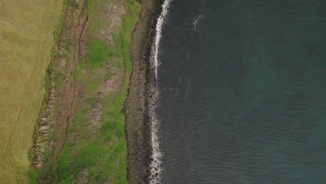 Bird's-eye-flyover-above-rocky-shore-and-green-cliffs-of-Grimsey-Island,-Iceland