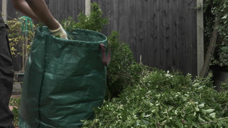 Adult-Male-Placing-Hedge-Trimmings-Into-Large-Green-Waste-Bag