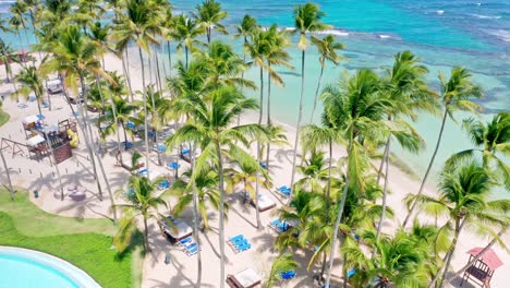 Aerial-View-Of-Lounge-Chairs-Under-Palm-Trees-By-The-Beach-In-Summer-At-Juan-Dolio-In-Dominican-Republic