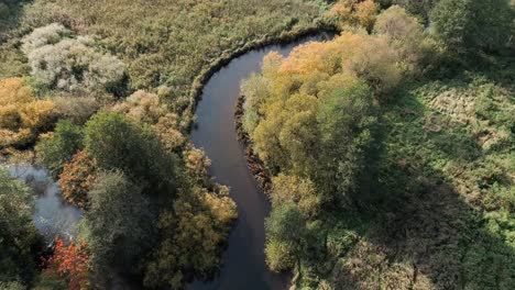 Filmische-Luftaufnahme-Des-Flusses-In-Form-Der-Natürlichen-Umgebung,-Der-Durch-Grüne-Wiesen,-Natürlichen-Wald,-Baumwald-Fließt