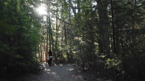 Woman-and-her-dog-walking-through-the-forest,-walking-away