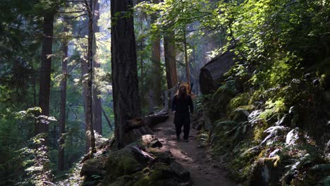 Backpacker-hikes-down-the-trail-in-the-Pacific-Northwest-rainforest