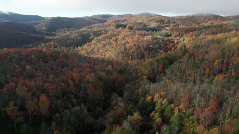 Cinematic-wide-drone-shot-of-the-fall-mountain-colors-in-North-Carolina