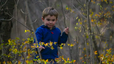 Toddler-boy-exploring-the-forest
