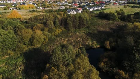 Wilder-Fluss-Mit-Bäumen-Und-Sträuchern-In-Der-Nähe-Von-Wiesen-Nordpolen-Europas-Bewachsen