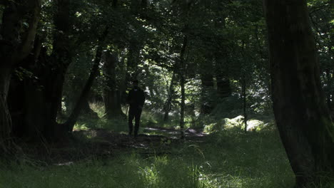 Silhouette-Of-Male-Taking-Photos-Walking-Through-Forest