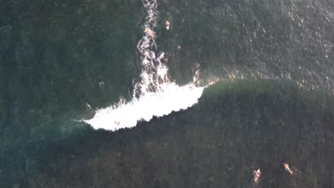Zenitaler-Schuss-Des-Surfers,-Der-Welle-Im-Klaren-Blauen-Wasser-Auf-Hawaii-Reitet