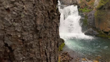 Revealing-a-beautiful-waterfall-behind-a-tree-during-a-hike-in-the-mountain-exploring-its-remote-and-secret-places