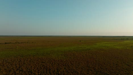 Aerial-drone-of-Plains-at-Dawn,-Travelling-in,-Arauca-Colombia