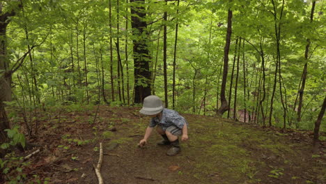 Little-boy-exploring-nature-in-a-forest