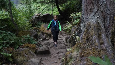 A-retired-woman-hikes-down-a-rocky-trail-in-Pacific-Northwest-next-to-a-massive-tree