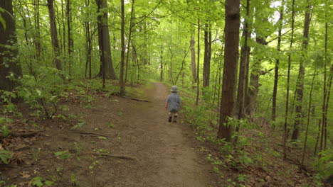 Toddler-boy-hiking-along-a-forest-path
