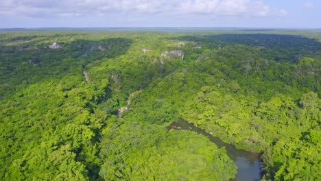 Aerial-flight-over-lush-forest-landscape-and-River-Yuma-during-sunlight-on-Dominican-Republic