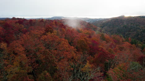 Drone-shot-of-fall-mountain-colors-in-the-Great-Smokey-Mountains-North-Carolina-flying-over-the-top