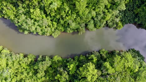 Blick-Von-Oben-Auf-Den-Bach-Zwischen-Dichtem-Regenwald-Am-Rio-Yuma-In-Der-Dominikanischen-Republik