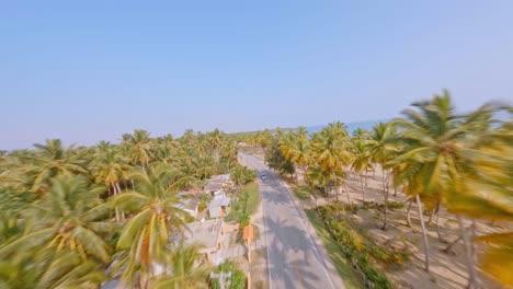 Aerial-drone-fpv-over-road-between-palms-along-ocean-near-Nagua,-Dominican-Republic