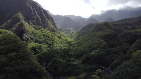 Tiro-De-Drone-De-Bosque-Verde-En-Las-Montañas-De-Hawaii