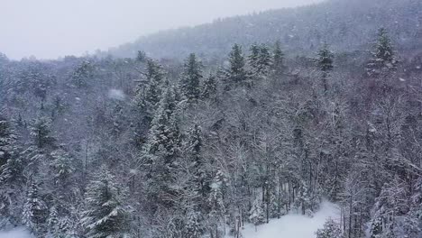 Aerial-slide-along-a-winter-forest-during-snow-storm-SLOW-MOTION