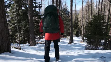 Hiker-with-large-backpack-walking-down-through-a-snowy-forest-in-slow-motion