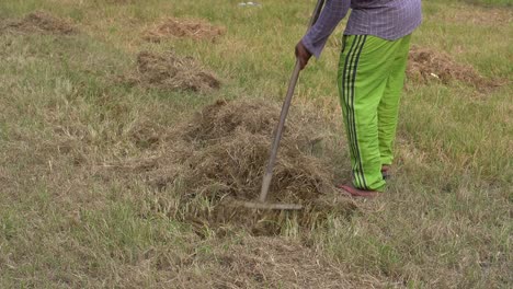 A-man-cleaning-the-dried-grown-grass-in-the-meadow-using-a-strong-trimmer-or-a-brush-cutter