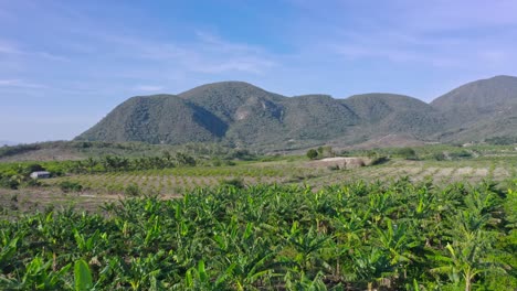 Landwirtschaftliches-Feld-Mit-üppigen-Grünen-Hügeln-In-Der-Stadt-Las-Yayas-De-Viajama-In-Der-Dominikanischen-Republik---Luftdrohnenaufnahme