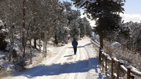 Un-Solo-Hombre-Caminando-Por-Un-Camino-Cubierto-De-Nieve-Lejos-De-La-Cámara-A-La-Distancia-Durante-El-Invierno