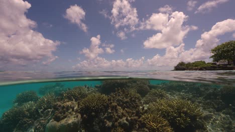 Split-shot,-half-above,-half-below-water-of-a-tropical-coral-reef-in-Fakarva,-second-biggest-atoll-in-French-Polynesia-in-the-south-pacific-ocean-in-Slow-motion