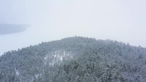 Panorámica-A-Través-De-Un-Lago-Congelado-Apenas-Visible-A-Través-De-Una-Tormenta-De-Nieve-Por-Encima-De-Una-Antena-De-Cámara-Lenta-Del-Bosque