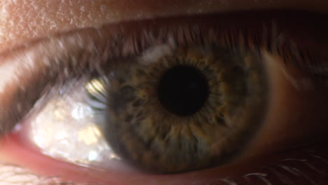 Nahaufnahme-Des-Menschlichen-Auges,-Blinkende,-Detaillierte-Pupille,-Iris-Und-Wimpern
