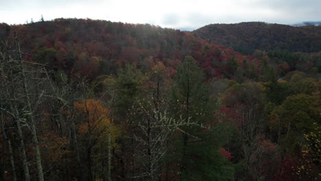Filmische-Aufsteigende-Drohnenaufnahme-Der-Herbstfarben-In-Den-Blue-Ridge-Mountains-In-North-Carolina