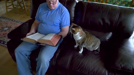 As-a-man-reads-a-holy-Bible,-his-pet-cat-wakes-up-and-stretches-on-a-lazy-day