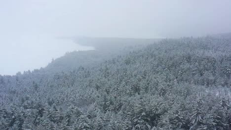 Schwenken-über-Ein-Paar-Schneebedeckte-Immergrüne-Hügelkuppen-Während-Einer-Blizzard-Zeitlupenantenne