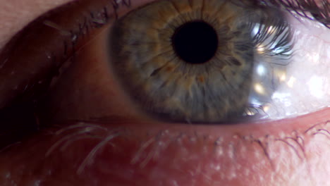 Pupila-E-Iris-Del-Globo-Ocular-Humano-De-Cerca,-Macro-Detallada