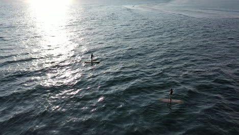Luftaufnahme-Von-Menschen,-Die-Auf-Sup-Boards-Im-Ozean-In-Den-Gewässern-Der-Insel-La-Réunion-Paddeln