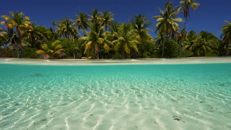 Beautiful-Split-shot,-camera-submerges-slowly-at-a-tropical-beach-in-Fakarva,-second-biggest-atoll-in-French-Polynesia-in-the-south-pacific-ocean-in-Slow-motion