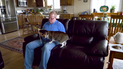 While-a-man-is-reading,-an-adorable-cat-plays-with-the-dangling-bookmark