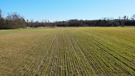 Flying-over-straight-rows-of-a-recently-planted-field