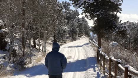 Ein-Einzelner-Mann,-Der-Im-Winter-Eine-Schneebedeckte-Auffahrt-Hinuntergeht,-Weg-Von-Neben-Der-Kamera